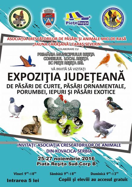 EXPOZITIE RESITA; EXPOZITIE RESITA
