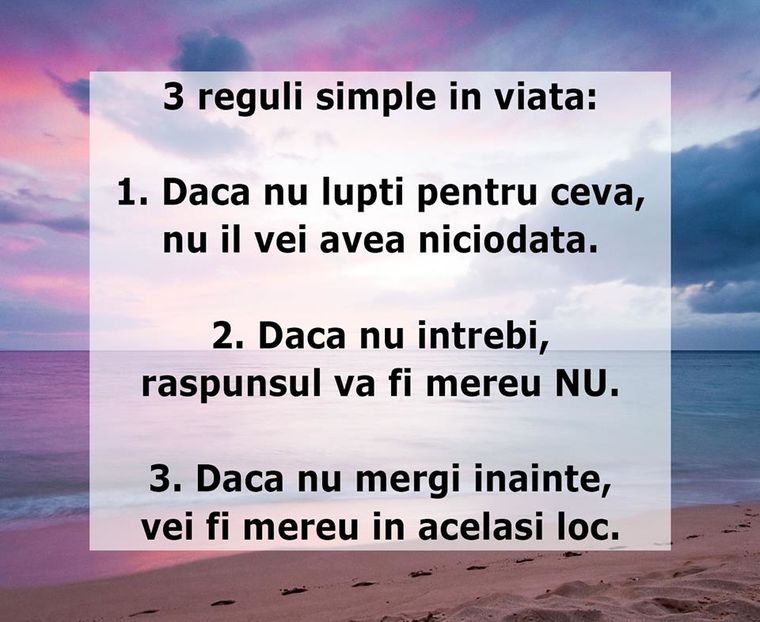 13600118_1154496551310722_2827094393200612805_n - Diverse