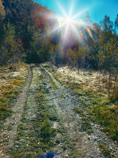  - Photo 04 - Toamna