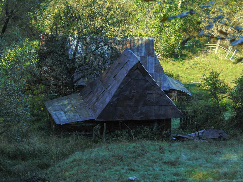  - Photo 04 - Toamna