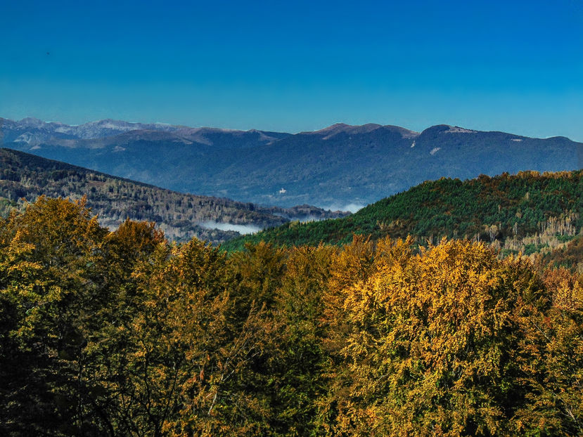  - Photo 04 - Toamna