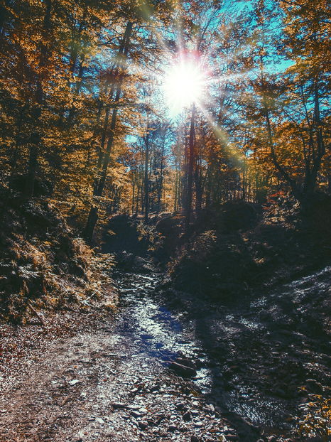  - Photo 04 - Toamna