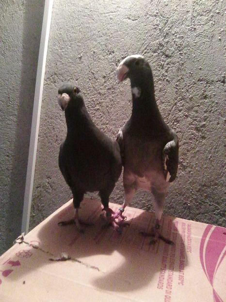 Photo0095