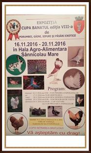 14639696_1075663682531433_4902842421651854267_n