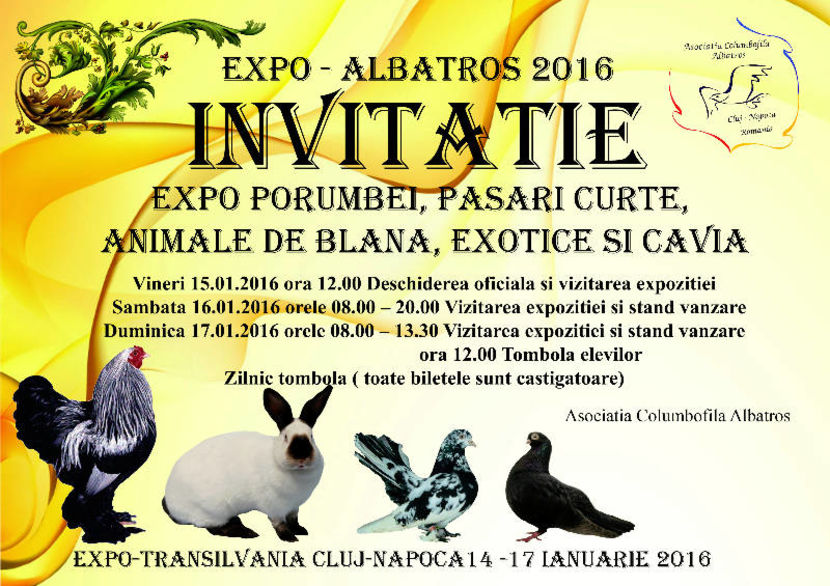 12552689_1691656021101681_3213622361369964781_n - Expo Cluj 2016