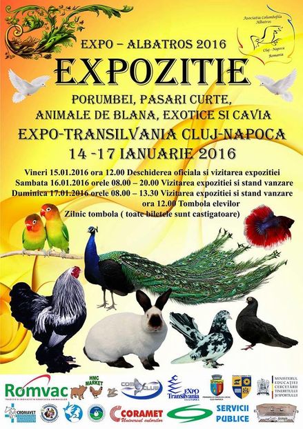 12507225_1688888904711726_7242404618459163682_n - Expo Cluj 2016