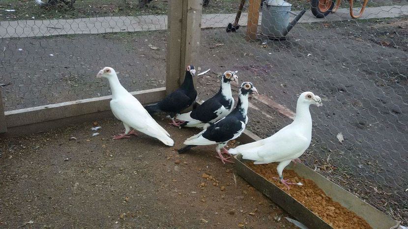 received_1085795681538586