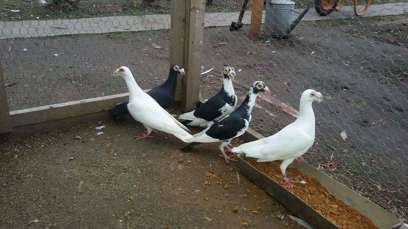 received_1085795768205244