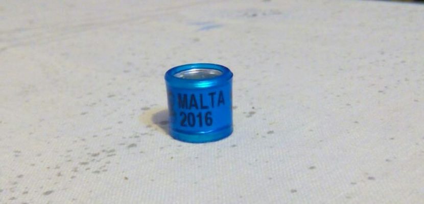 MALTA 2016