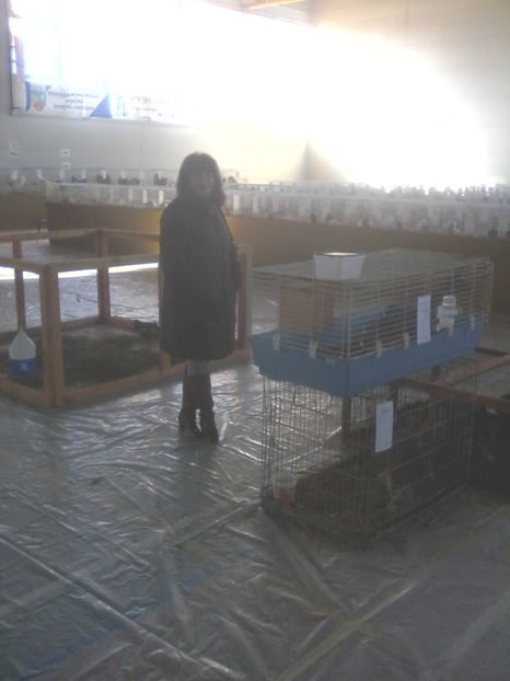  - Expozitie Lugoj noiembrie 2016