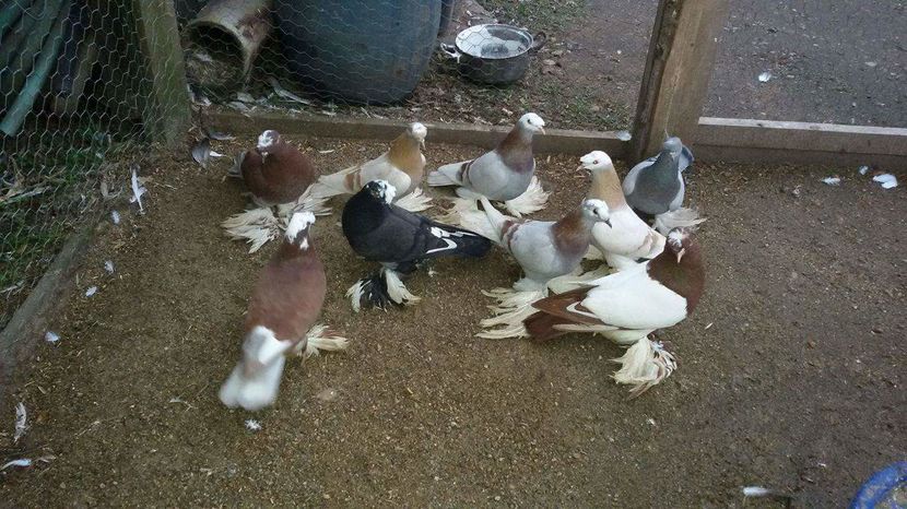 received_1085795678205253