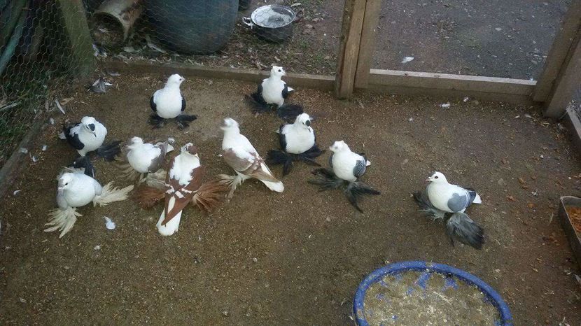 received_1085795671538587