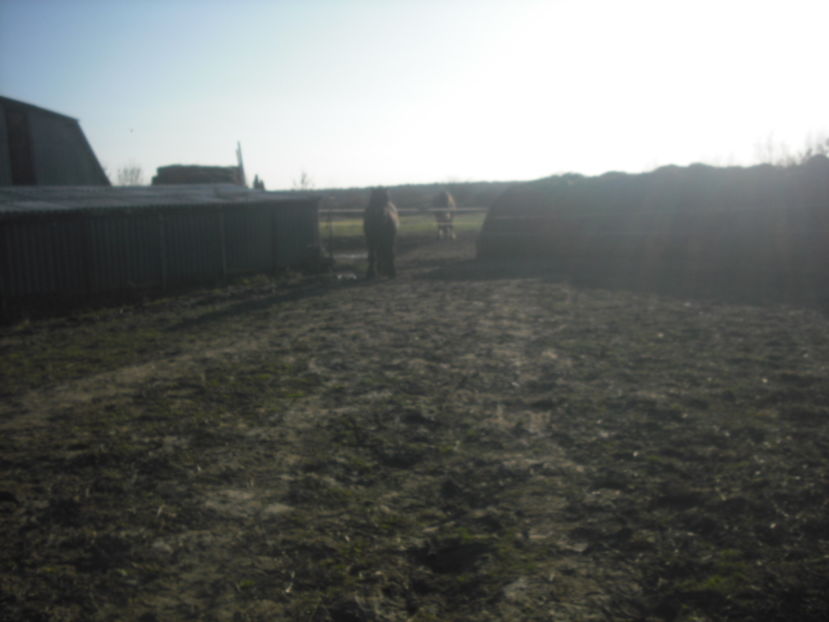 CIMG8136 - BATORY armasar-manz-Belgian