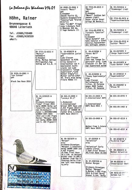 new doc 26_3 - Loc 096 finala BSOLR