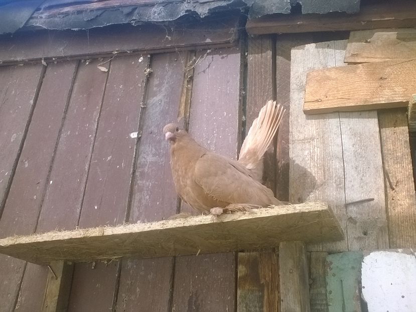 Sight_2016_11_01_104721_043