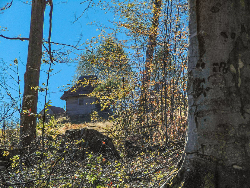  - Photo 04 - Toamna