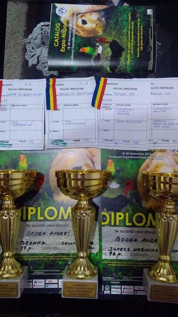 received_1276376272435186