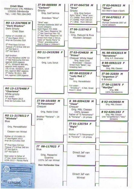 FEMELA PEDIGREE - P 12