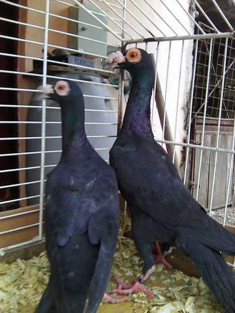 Photo0122
