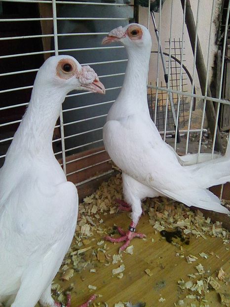 Photo0137
