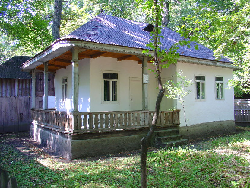  - Muzeul satului Vrancea Crangul Petresti