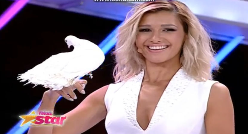 bandicam 2016-11-25 19-37-16-525