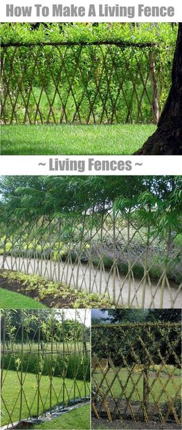 living fence - IDEI si PROIECTE DIY