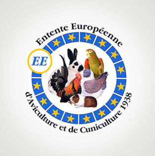 Entente-Europeenne - Moeciu de Jos - Curs arbitri 2016