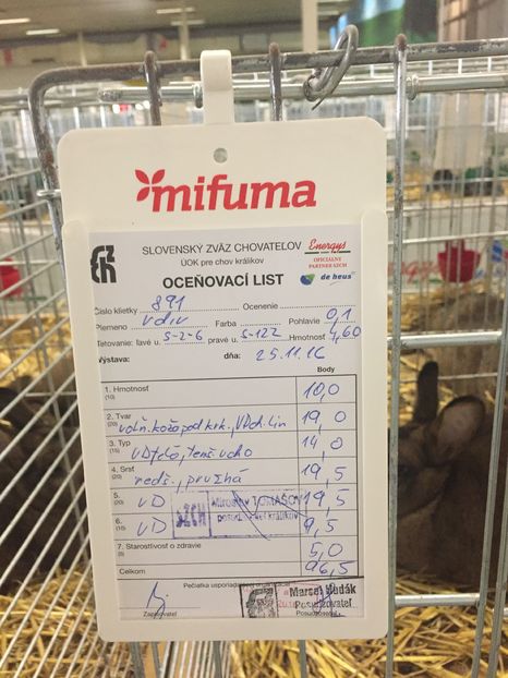  - Expozitie Nitra 26-27 noiembrie 2016