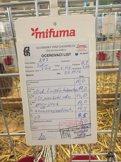 - Expozitie Nitra 26-27 noiembrie 2016