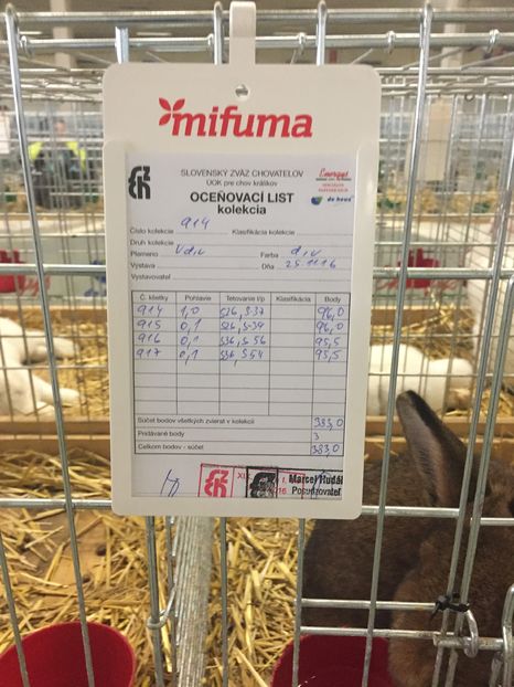  - Expozitie Nitra 26-27 noiembrie 2016