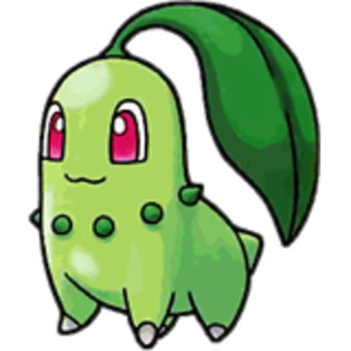 chikorita sweet; draguta puternica
