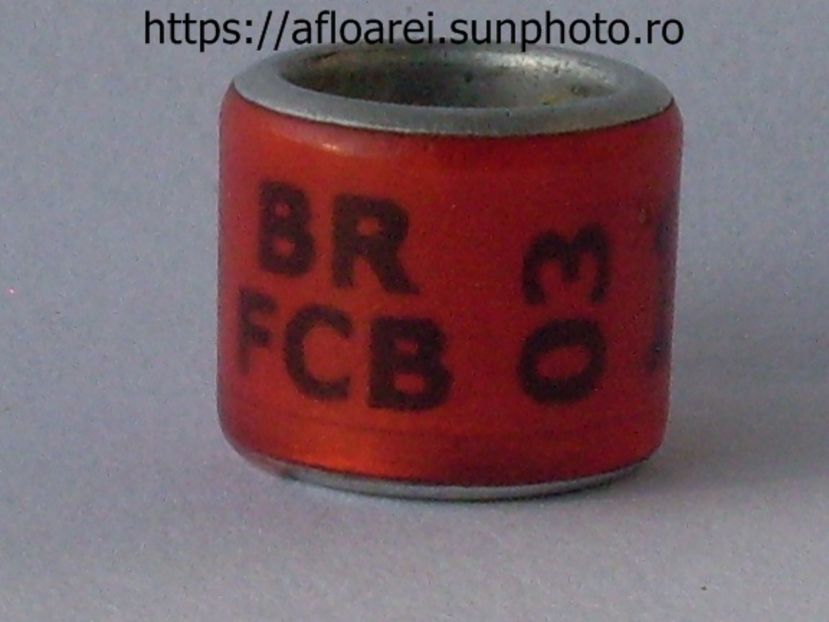 BR FCB 03 - BRAZILIA- BR