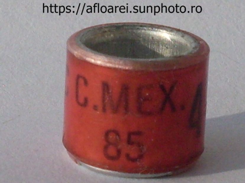 C C MEX 85 - MEXIC