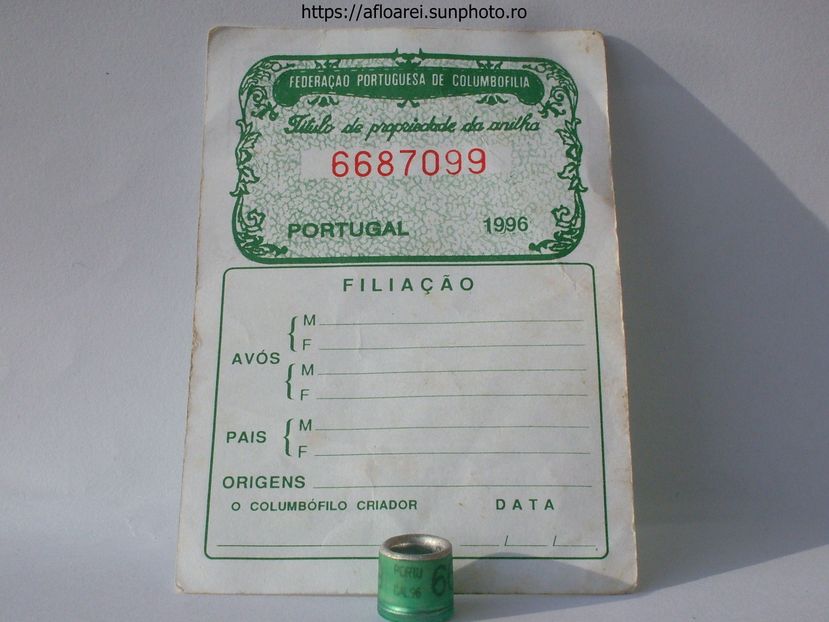 PORTUGAL 96 - PORTUGALIA-PORTUGAL
