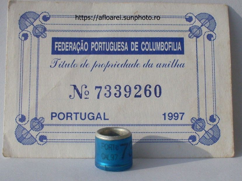 PORTUGAL 97 - PORTUGALIA-PORTUGAL