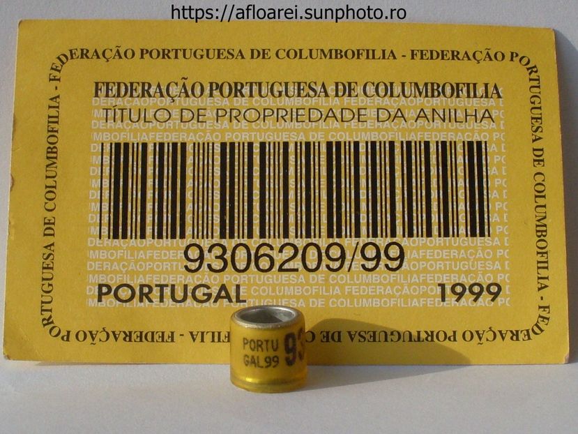PORTUGAL 99 - PORTUGALIA-PORTUGAL