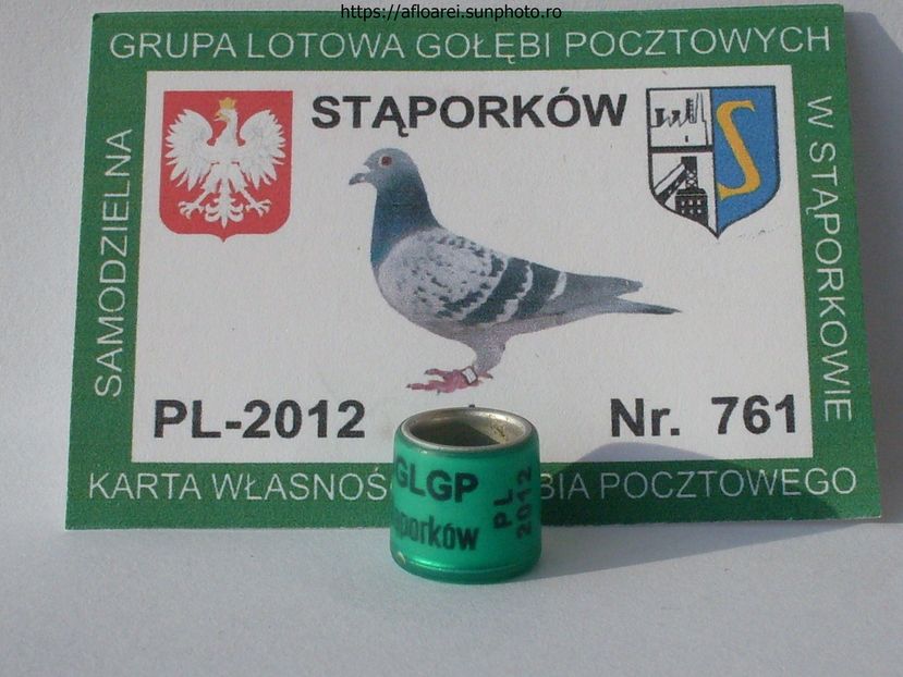 SGLGP  STAPORKOW 2012