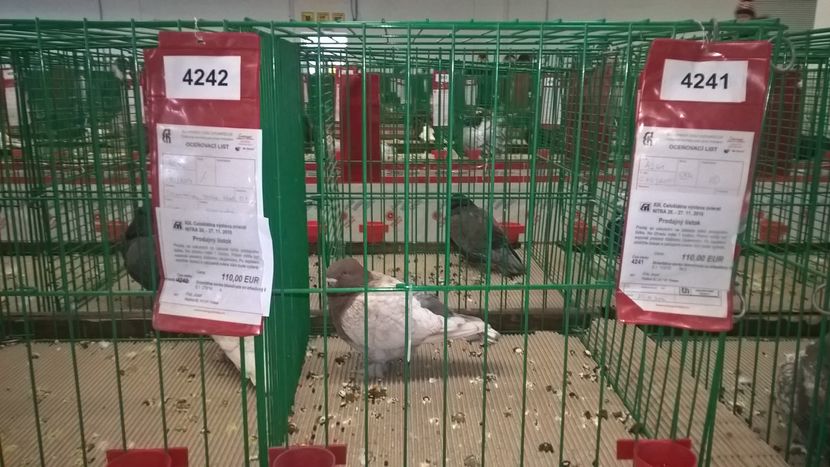  - Nationala Slovaciei-2016