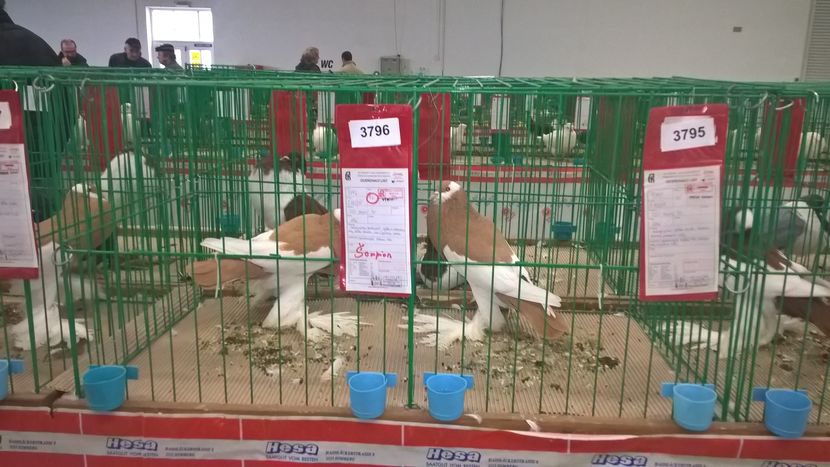  - Nationala Slovaciei-2016