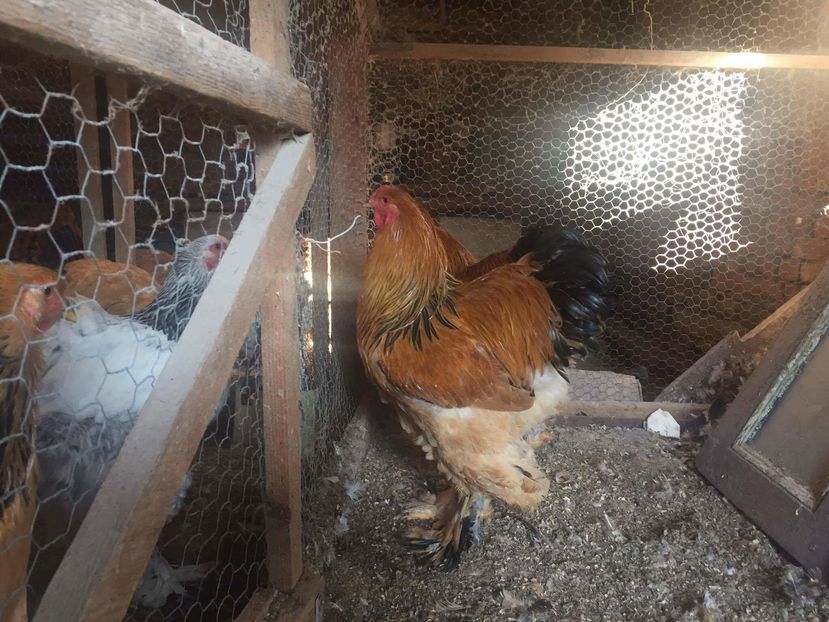 received_1336981006346257