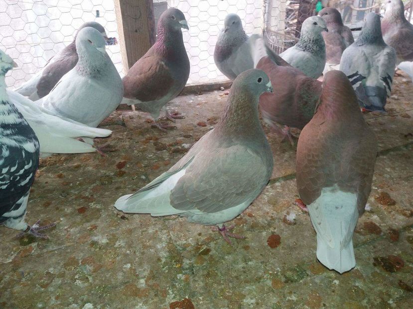 received_1886574344910665