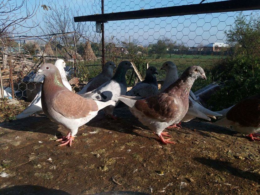 received_1881394495428650