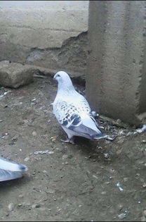 received_1694902550752116