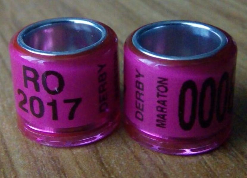 2017-roz-derby mar.- 8mm...-X - Inele porumbei 2017 de vanzare