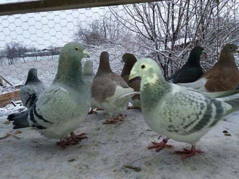 received_1893575890877177