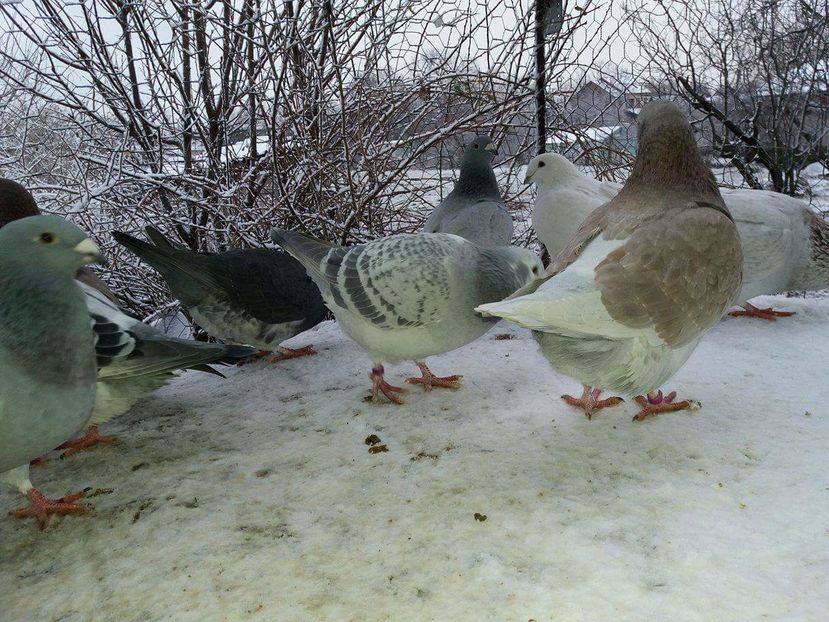 received_1893575187543914