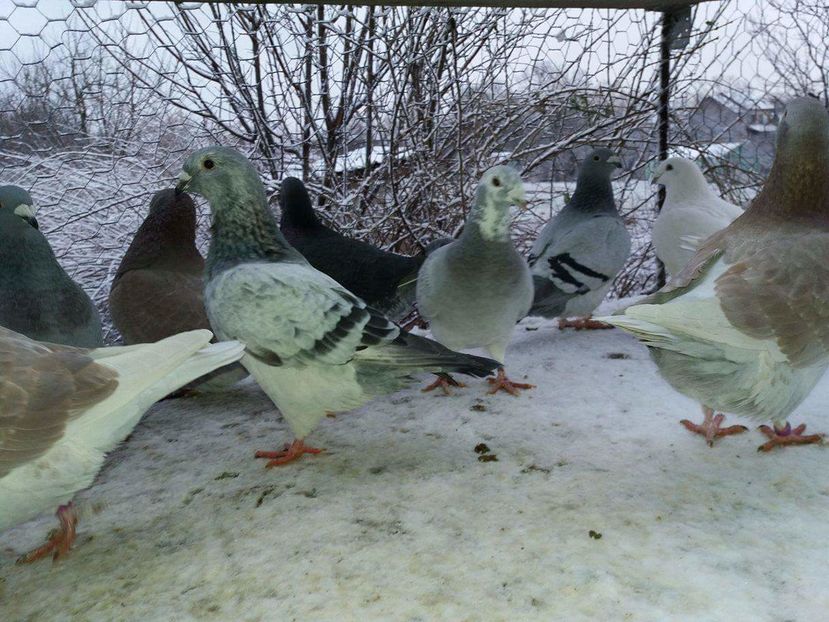 received_1893575167543916