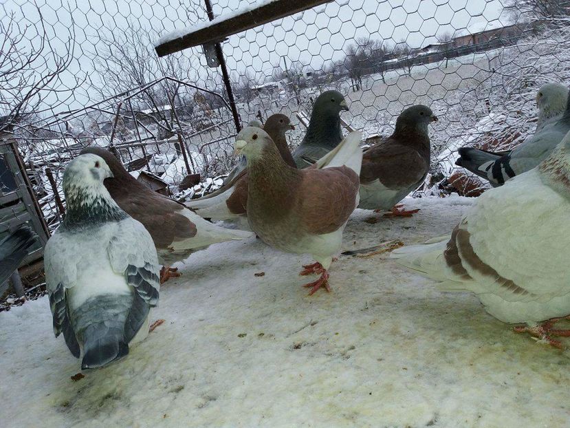 received_1893574894210610