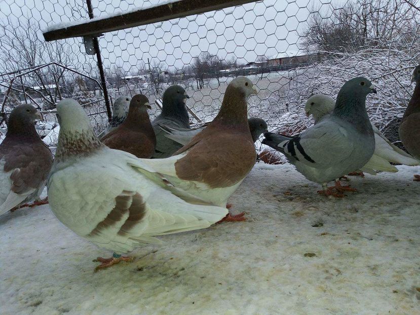 received_1893574804210619